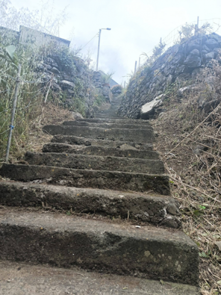 Limpeza da Vereda do Lombo Giesta