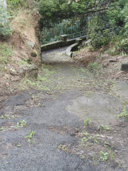 Limpeza da Vereda do Atalho