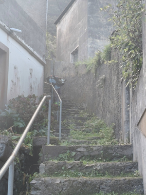 Limpeza da Vereda do Caramanchão