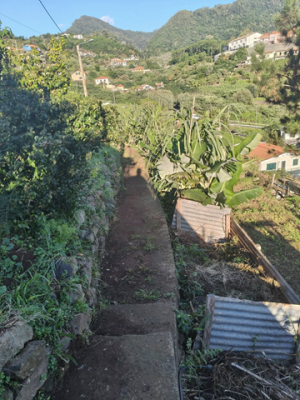 Limpeza da Vereda da Terça