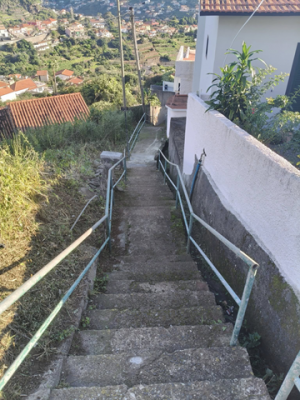 Limpeza da Vereda de São Cristóvão