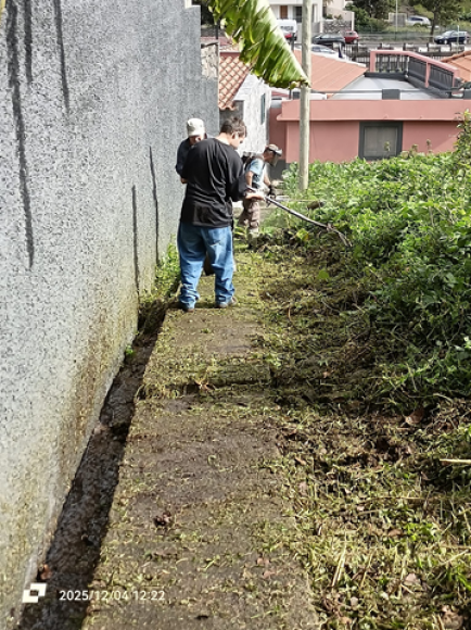 Limpeza da Vereda da Serra d'&Aacute;gua
