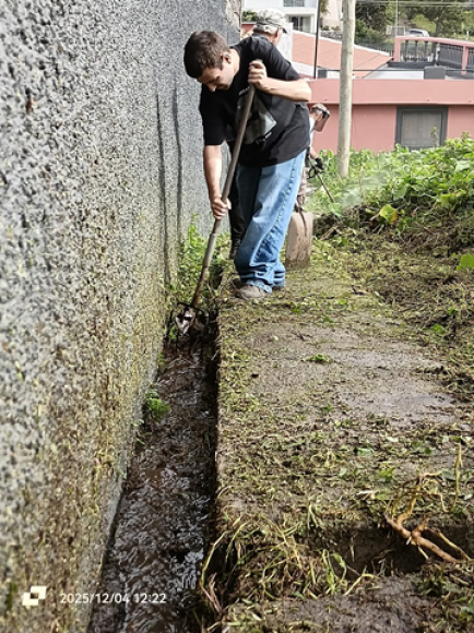 Limpeza da Vereda da Fazenda D