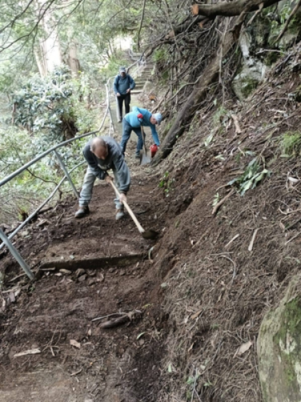Continuamos no terreno!