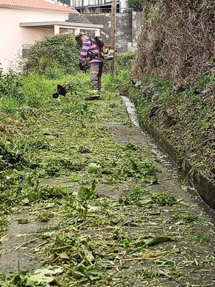 Limpeza da Vereda da Levada do Desembarcadouro