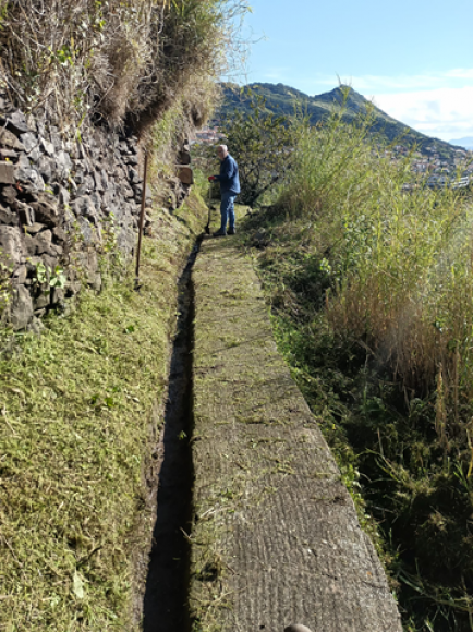 Trabalhos de limpeza na vereda da Levada do Desembarcadouro