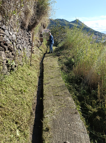 Trabalhos de limpeza na vereda da Levada do Desembarcadouro