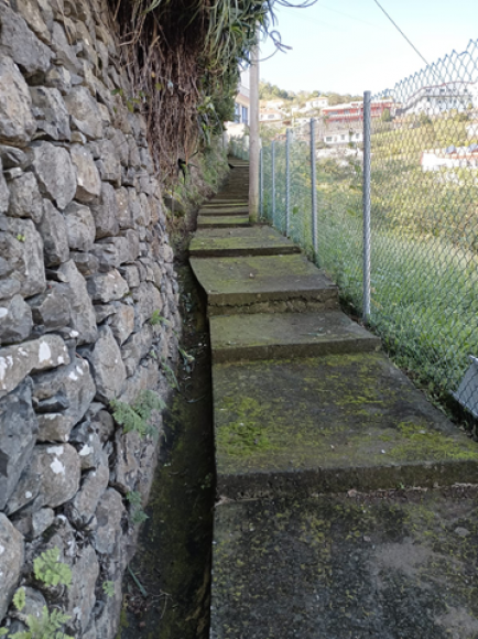 Trabalhos de Limpeza do Caminho e Vereda do Sal&atilde;o