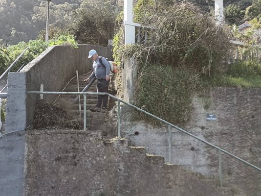 Limpeza da Vereda do Lombo Farinha