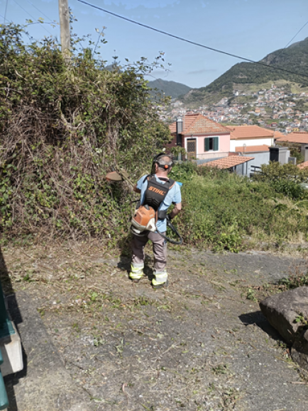 Limpeza Rua da Azinhaga da Serra d&rsquo;&Aacute;gua