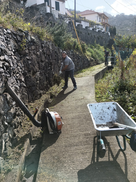 Limpeza da Vereda da Levada do Desembarcadouro