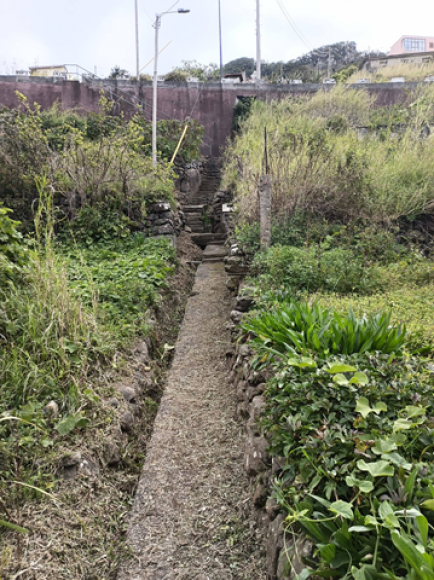 A&ccedil;&atilde;o de limpeza na Vereda do Arroz