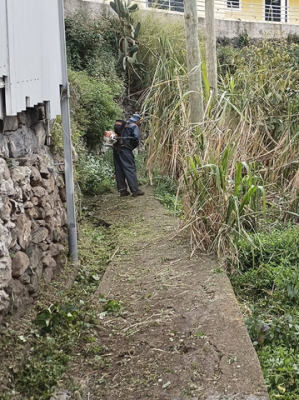 Trabalhos de limpeza e manuten&ccedil;&atilde;o na vereda da Levada do Desembarcadouro
