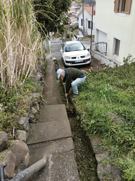 A&ccedil;&atilde;o de limpeza na Vereda do Cerradinho