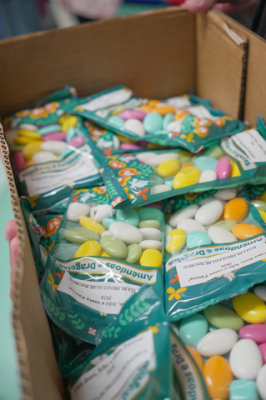 Junta de freguesia de Machico distribui am&ecirc;ndoas &agrave;s escolas EB1 c/ PE e Creche Eng. Lu&iacute;s Santos, Infant&aacute;rio Rainha Santa Isabel e Externato Escola Sant' Ana