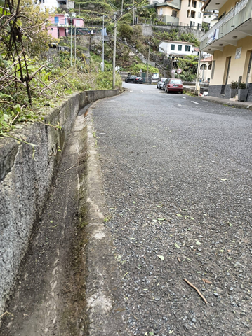 Limpeza da Rua da Cancela