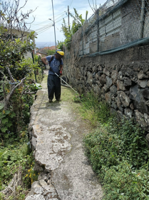 Trabalhos de limpeza na Vereda dos Vicentes