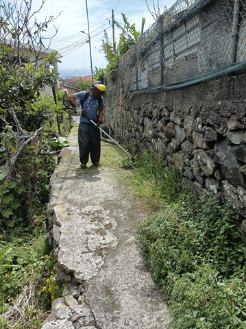Trabalhos de limpeza na Vereda dos Vicentes