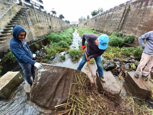 A&ccedil;&atilde;o de limpeza e manuten&ccedil;&atilde;o da passagem pedonal situada no interior da Ribeira de Machico
