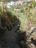 Limpeza da Vereda do Arroz &ndash; Ribeira Seca