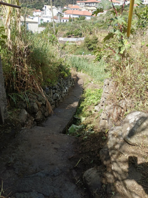 Limpeza da Vereda do Arroz &ndash; Ribeira Seca