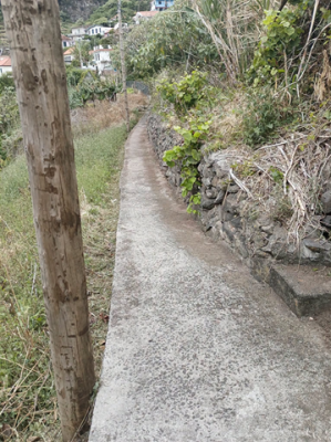 Limpeza da Vereda da Igreja das Preces &ndash; Ribeira Grande
